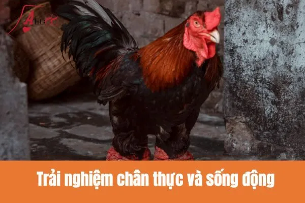 Trải nghiệm chân thực và sống động