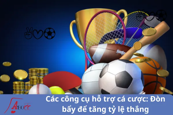 Cá cược thể thao thắng lớn