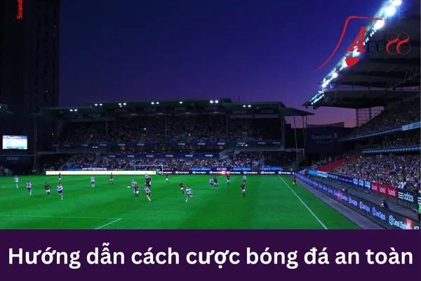 Cược bóng đá mùa giải mới