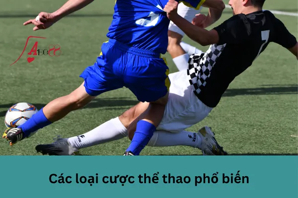 Cược thể thao dễ thắng