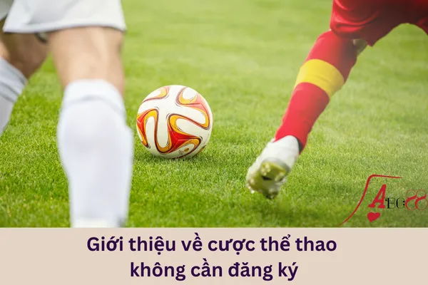 Cược thể thao không cần đăng ký