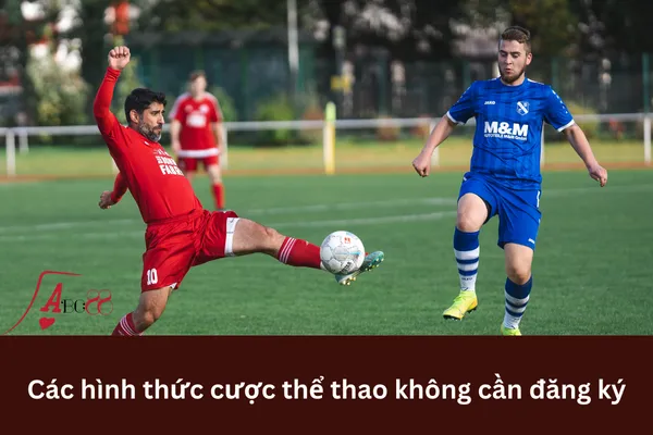 Cược thể thao không cần đăng ký