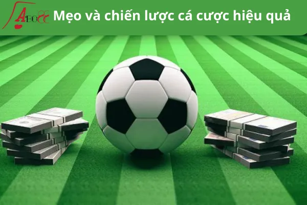 Cá cược thể thao quốc tế