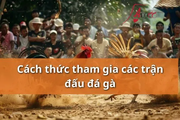 Đá gà các trận đấu lớn
