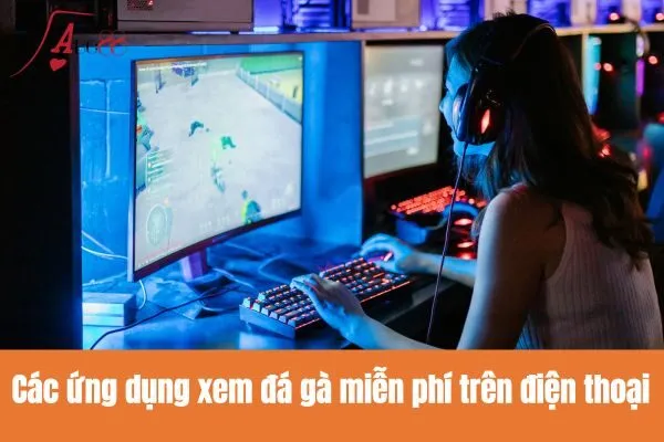 Các ứng dụng xem đá gà miễn phí trên điện thoại