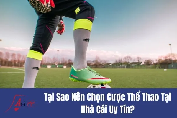 Cược Thể Thao Tại Nhà Cái Uy Tín